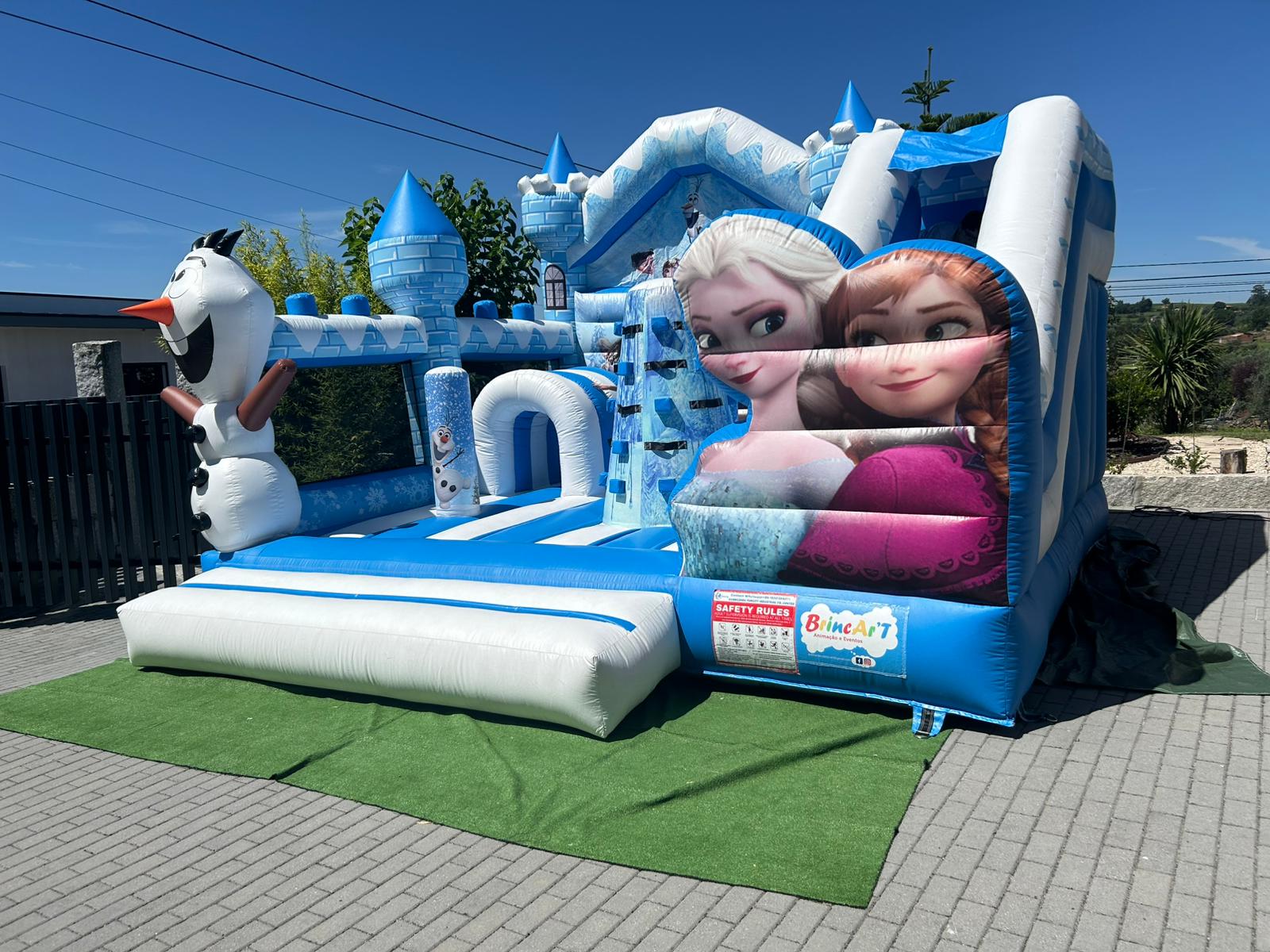 Frozen Insuflável